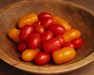 GRAPE TOMATO 1PT